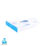 تندیس صخره ۲